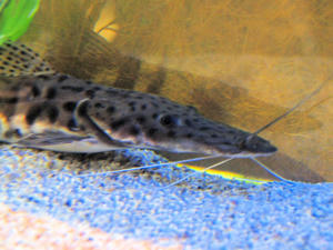 20100101_1009shuusei.jpg