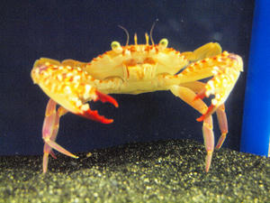 20100101_1092shuusei.jpg