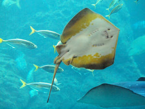 20100101_423shuusei.jpg