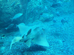 20100101_1133shuusei.jpg