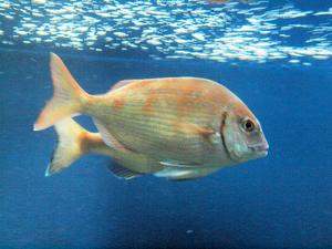 20100101_388shuusei.jpg