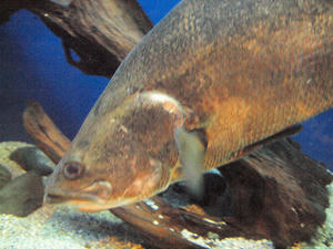 20100101_403shuusei.jpg
