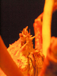 20100101_418shuusei.jpg