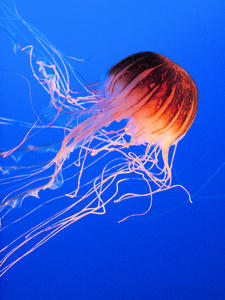 20100101_708shuusei.jpg