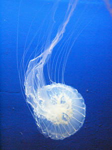 20100101_686shuusei.jpg