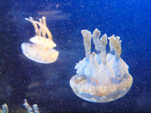 20100101_677shuusei.jpg