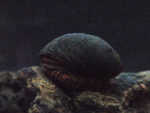 20100101_458shuusei.jpg