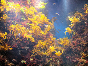 20100101_311shuusei.jpg