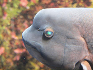 20100101_310shuusei.jpg