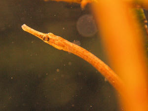 20100101_339shuusei.jpg