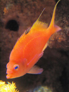 20100101_351shuusei.jpg