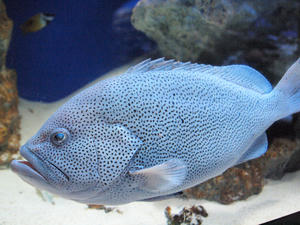 20100101_1024shuusei.jpg