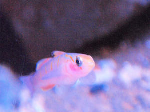 20100101_1045shuusei.jpg