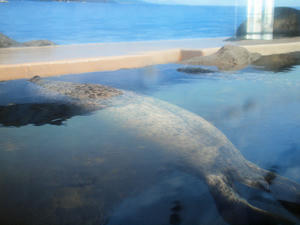 20100101_1002shuusei.jpg