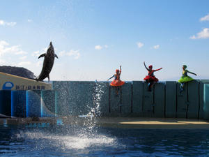 20100101_488shuusei.jpg