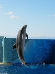 20100101_622shuusei.jpg