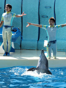 20100101_777shuusei.jpg