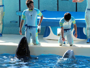 20100101_802shuusei.jpg