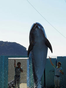 20100101_884shuusei.jpg