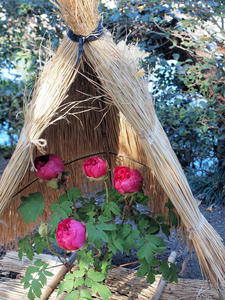 20100101_1156shuusei.jpg