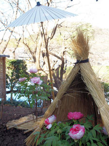 20100101_1183shuusei.jpg