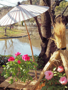 20100101_1199shuusei.jpg
