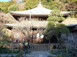 20100101_1234shuusei.jpg