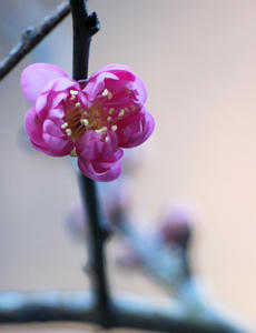 20100101_1211shuusei.jpg