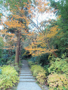 20100101_1216shuusei.jpg