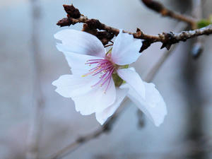 20100101_1223shuusei.jpg