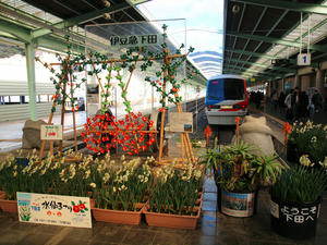 20100103_777shuusei.jpg