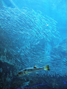 20100103_783shuusei.jpg