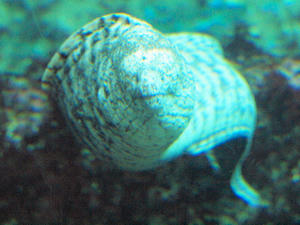 20100103_786shuusei.jpg