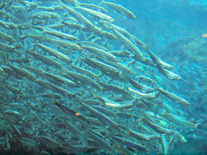 20100103_793shuusei.jpg
