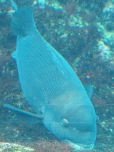 20100103_798shuusei.jpg