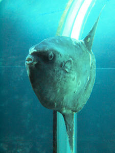 20100103_806shuusei.jpg