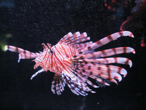 20100103_1227shuusei.jpg
