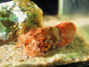 20100103_1263shuusei.jpg