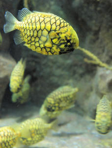 20100103_1241shuusei.jpg