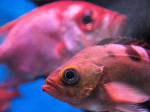 20100103_1217shuusei.jpg