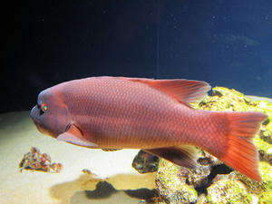 20100103_1251shuusei.jpg