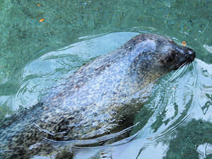 20100103_815shuusei.jpg