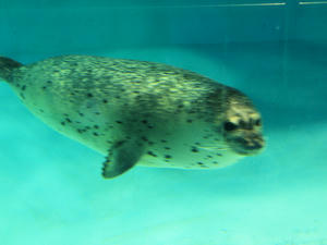 20100103_910shuusei.jpg
