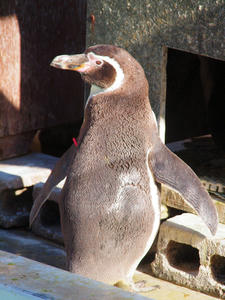 20100103_835shuusei.jpg