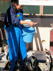 20100103_828shuusei.jpg