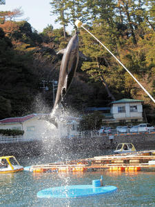 20100103_1329shuusei.jpg