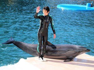 20100103_1342shuusei.jpg