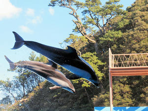 20100103_1094shuusei.jpg