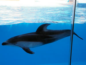20100103_1097shuusei.jpg