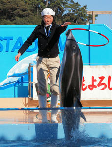 20100103_1111shuusei.jpg
